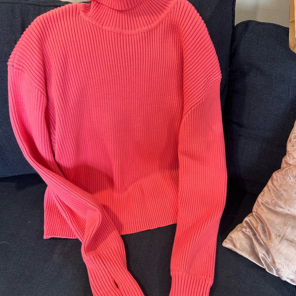 Women's Kittenish Ribbed Turtleneck Sweater - Pink